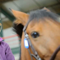 Equestrian Center Du Chesnoy