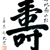 Association Yin Yang