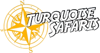 Turquoise Safaris - Sea Lion Tours