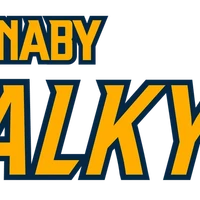 Burnaby Girls Baseball Home of Valkyries