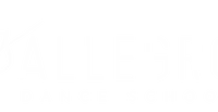 Allegro Dance School