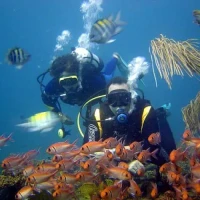 Triton Diving Ireland