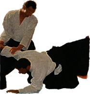 Section Aikido Of La Maison De Papier