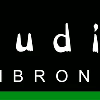 Studio Cambronne : Cours De Danse Et Yoga - Paris 15