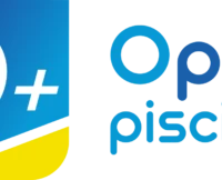OPlus Piscines Carcassonne - Concessionnaire Piscines Ibiza