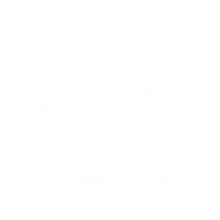 Alive Fitness and Wellness