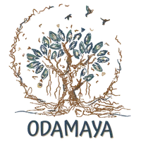 ODAMAYA Massages - Soins Énergétiques - Coaching de vie