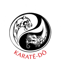 Shin Kyo Budo