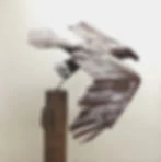 Metal Art-Work