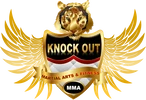 Mixed Martial Arts MMA Classes