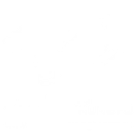 Dragon Tao Wing Chun Kung Fu