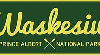 Waskesiu DodgeBall Court