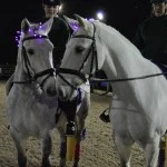 Penniwells Riding For Disabled Centre