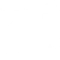 Tengo Frio Surf School