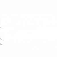 The YogaWolf Studio