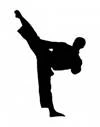 Center Martial Arts Roussillon