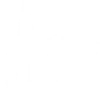 Vigor Coaching