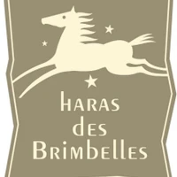 Stud Des Brimbelles