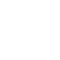 The Adaptive Yogi