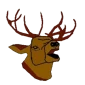 Deer Park Archers Ltd