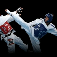 Horangee Taekwondo Academy