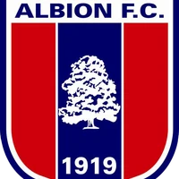 Wilmslow Albion Football Club