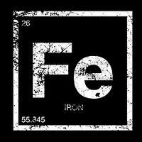 FE Strength and Fitness