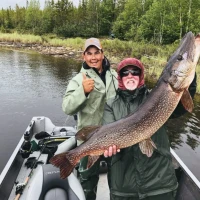 Arctic Lodges