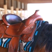 Horseshoe J Dude Ranch - Summer Camps, Lessons, Public trail riding