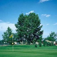 Castor Golf Club