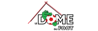 the soccer dome
