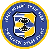 Templeogue Synge Street GFC VEC Pitch