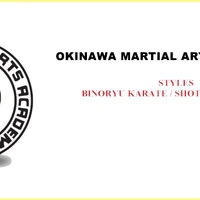 Bino Ryu Karate Do Association Pune