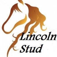 Lincoln Stud