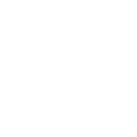 Hibiscus Surf School - Tay Street