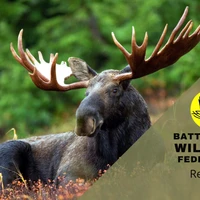 Battlefords Wildlife Federation
