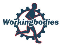Workingbodies Ltd