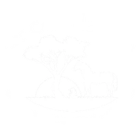 Centre Equestre Les Crins Gaia