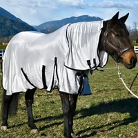 Champion Horse Blankets