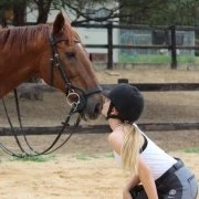 Tic Toc Equestrian