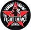 Fight Impact