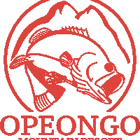 Opeongo Mountain Resort