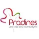 Pradines Lot Basket