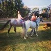 Stable Thinking Riding Academy