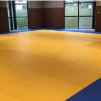Gymnase Louison Bobet