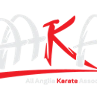 Children's Martial Arts Classes / Karate Whittlesford
