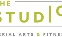 The Studio - Aerial Arts & Fitness