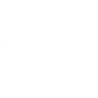 Crossfit Atalan