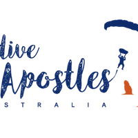 Skydive 12 Apostles