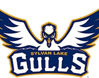 Sylvan Lake Gulls